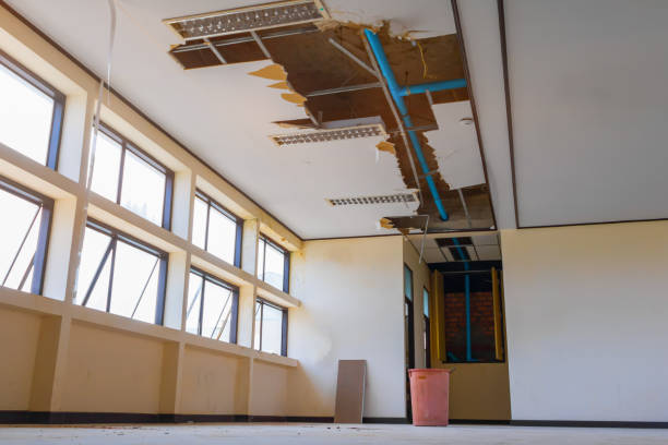 Water damage restoration mold remediation in Laughlin Af, TX