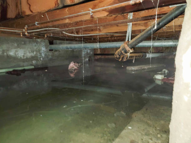 Best Local water damage restoration  in Laughlin Af, TX