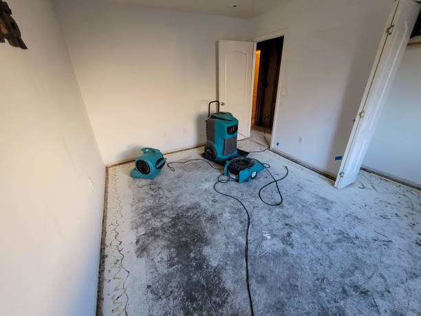 Best Ceiling water damage repair  in Laughlin Af, TX