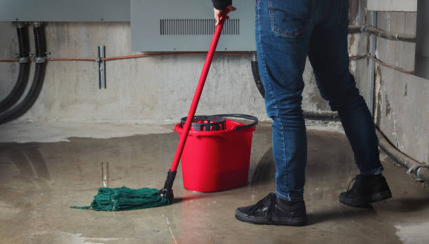 Best Mold removal after water damage  in Laughlin Af, TX