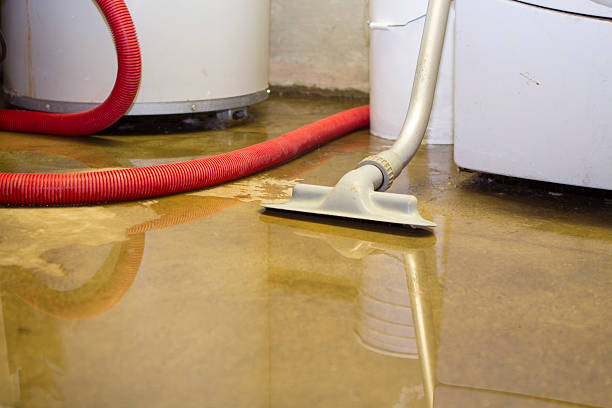 Reliable Laughlin Af, TX Water damage restoration Solutions