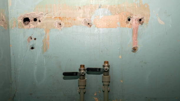 Best Flooded house restoration  in Laughlin Af, TX